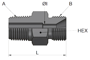 Male NPT | Male BSPP